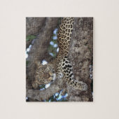 アフリカ ケニア マサイマラ ヒョウ (Panthera ジグソーパズル (縦)