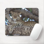 アフリカ ケニア マサイマラ ヒョウ (Panthera マウスパッド (マウス)