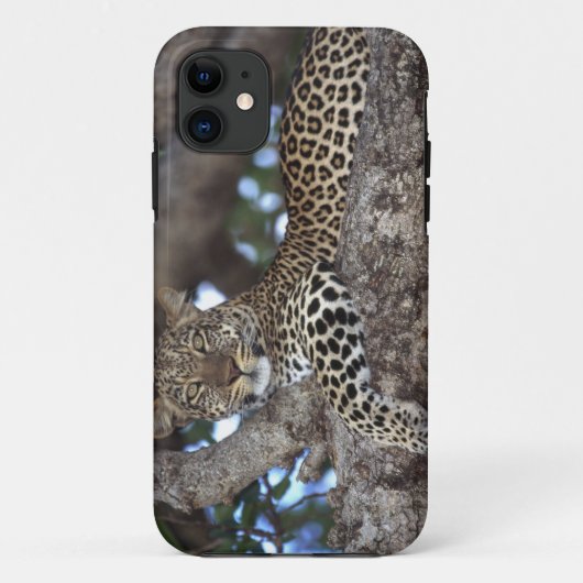 アフリカ ケニア マサイマラ ヒョウ (Panthera Case-Mate iPhoneケース (裏面)