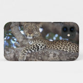 アフリカ ケニア マサイマラ ヒョウ (Panthera Case-Mate iPhoneケース (裏面(横))