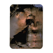 アフリカ、ケニア、マサイマラ。一般的な海馬 マグネット (縦)