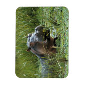 アフリカ、ケニア、マサイマラNR。母ヒッポ マグネット (縦)