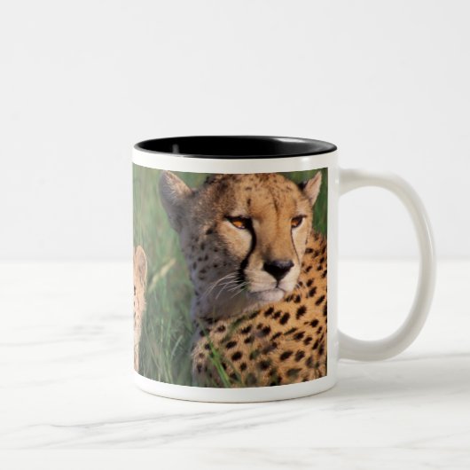 アフリカ、ケニア、マサイ・マラの試合の予約。チータ ツートーンマグカップ (右)