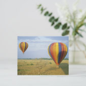 アフリカ、ケニア、マサイ·マラ国立保護区 ポストカード (スタンド正面)