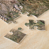 アフリカ；ケニア；マサイ・マラ；チーター・カブ3 ジグソーパズル (側面)