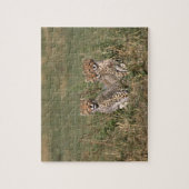 アフリカ；ケニア；マサイ・マラ；チーター・カブ3 ジグソーパズル (縦)