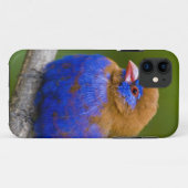 アフリカ ケニア ムラサキテリカケス Case-Mate iPhoneケース (裏面(横))