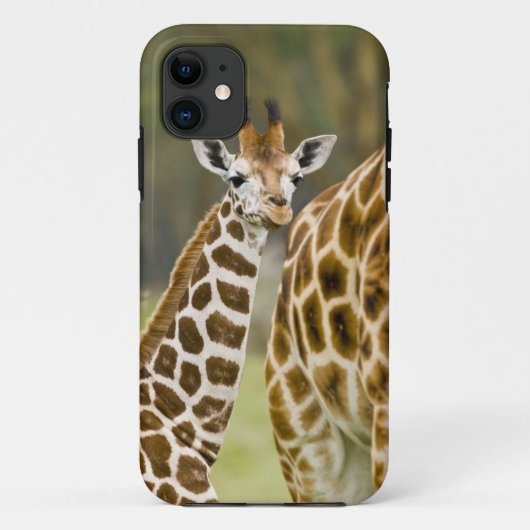 アフリカ ケニア ロスチャイルドギラファの赤ちゃん Case-Mate iPhoneケース (裏面)