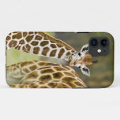 アフリカ ケニア ロスチャイルドギラファの赤ちゃん Case-Mate iPhoneケース (裏面(横))