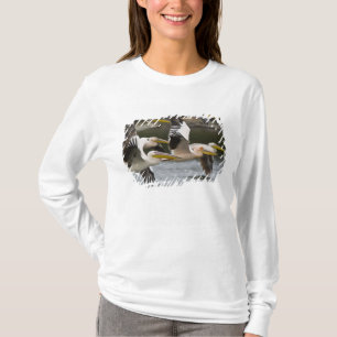 アフリカ ケニア 湖の上を飛ぶモモイロペリカン Tシャツ