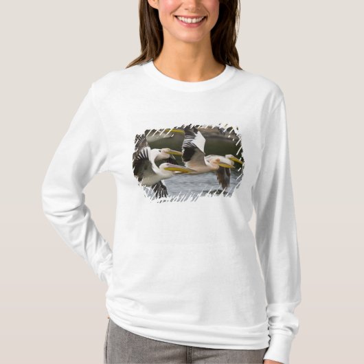 アフリカ ケニア 湖の上を飛ぶモモイロペリカン Tシャツ (正面)