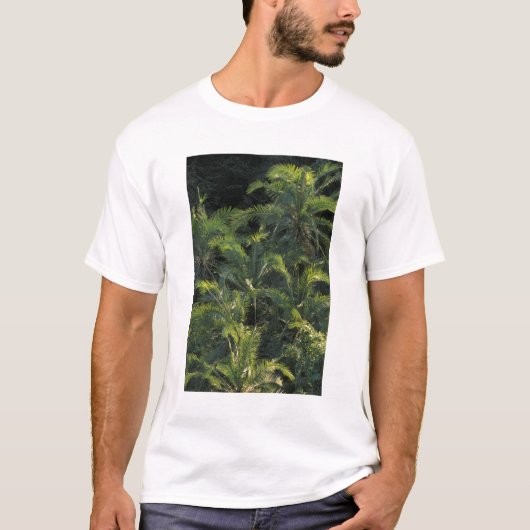 アフリカ ザンビア モシ・オ・ツニャ国立公園 Tシャツ (正面)