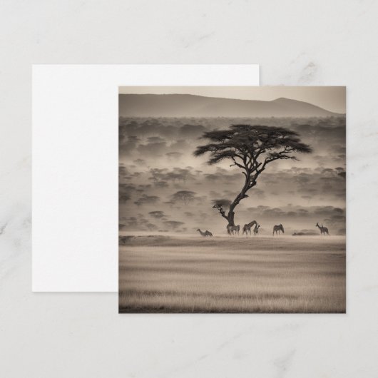 アフリカ シーズンカード (正面/裏面)