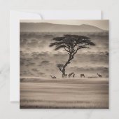 アフリカ シーズンカード (正面)