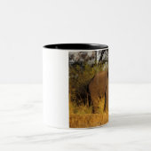 アフリカ、ジンバブエ、ビクトリア秋国立公園。 ツートーンマグカップ (中央)