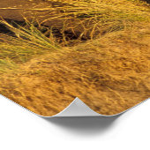 アフリカ、ジンバブエ、ビクトリア秋国立公園。 ポスター (角)