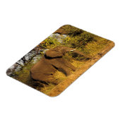 アフリカ、ジンバブエ、ビクトリア秋国立公園。 マグネット (左側)