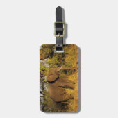 アフリカ、ジンバブエ、ビクトリア秋国立公園。 ラゲッジタグ (正面縦)