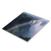 アフリカ、ジンバブエ。ビクトリア秋 タイル (側面)