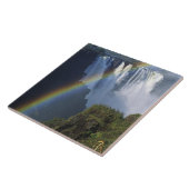 アフリカ、ジンバブエ、ビクトリア秋 タイル (側面)