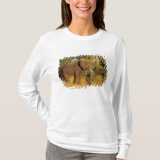アフリカ、ジンバブエ、ヴィクトリアの滝国立公園 Tシャツ (正面)