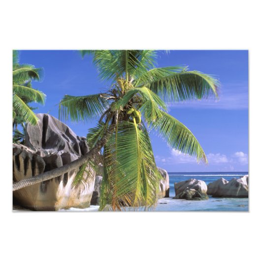 アフリカ、セーシェル、ラディグ島。グラナイト フォトプリント            (正面)