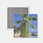 アフリカ、セーシェル、ラディグ島。花崗岩2 マグネット (正面/裏面)