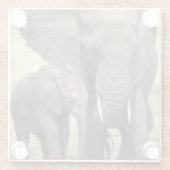 アフリカ、タンザニアのTarangireの国立公園 ガラスコースター (裏面)