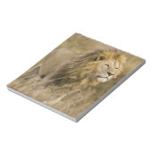 アフリカ。タンザニア。オスのライオンNgorongoro ノートパッド (回転)