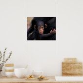 アフリカ、タンザニア、ゴンベ・ナトル公園、フリート、 ポスター (キッチン)