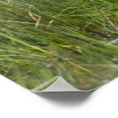 アフリカ。タンザニア。サドルバードコウノトリ ポスター (角)