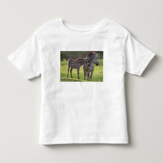 アフリカ タンザニア シマウマの親子 トドラーTシャツ (正面)
