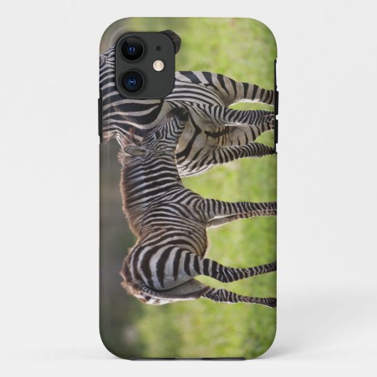 アフリカ タンザニア シマウマの親子 Case-Mate iPhoneケース (裏面)