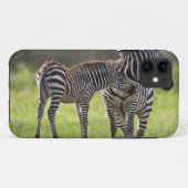 アフリカ タンザニア シマウマの親子 Case-Mate iPhoneケース (裏面(横))