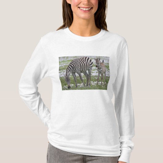 アフリカ タンザニア シマウマの親子 Tシャツ (正面)