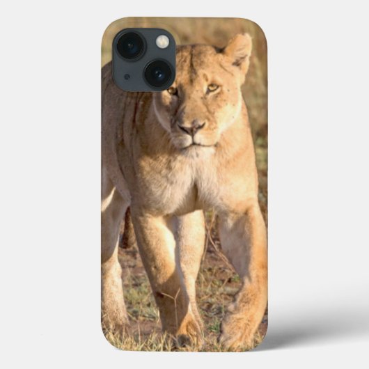 アフリカ タンザニア セレンゲティ ライオンとメスライオン Case-Mate iPhoneケース (裏面)