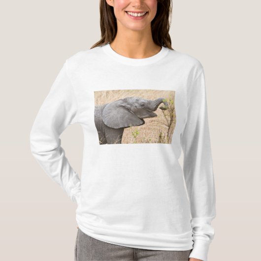 アフリカ タンザニア タランギレの若い象 Tシャツ (正面)