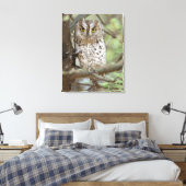 アフリカ。タンザニア。タランギールのアフリカのコノハズク2 キャンバスプリント (インサイチュ (寝室))