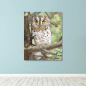 アフリカ。タンザニア。タランギールのアフリカのコノハズク2 キャンバスプリント (インサイチュ (ウッドフロア))