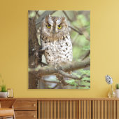 アフリカ。タンザニア。タランギールのアフリカのコノハズク2 キャンバスプリント (インサイチュ (リビング))