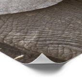 アフリカ。タンザニア。タランギールの若い象 ポスター (角)