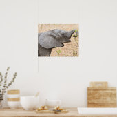 アフリカ。タンザニア。タランギールの若い象 ポスター (キッチン)