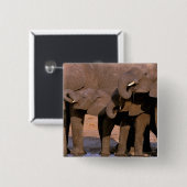 アフリカ、タンザニア、タランギール国立公園。 缶バッジ (正面&裏面)