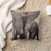 アフリカ、タンザニア、タランギール国立公園。2 クッション (ブランケット)