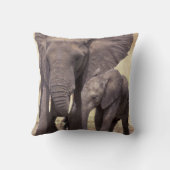 アフリカ、タンザニア、タランギール国立公園。2 クッション (裏面)