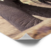 アフリカ、タンザニア、タランギール国立公園。2 ポスター (角)