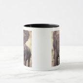 アフリカ、タンザニア、タランギール国立公園。2 マグカップ (中央)