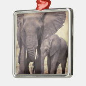 アフリカ、タンザニア、タランギール国立公園。2 メタルオーナメント (左)