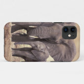 アフリカ、タンザニア、タランギール国立公園。2 Case-Mate iPhoneケース (裏面(横))