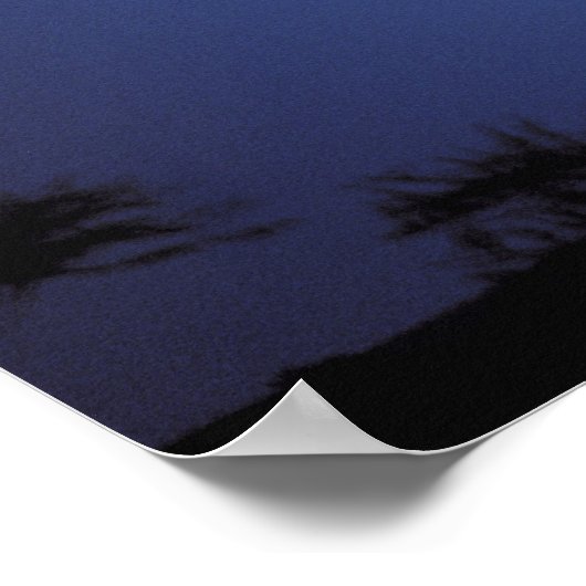 アフリカ、タンザニア、タランギール。アカシアの木 ポスター (角)